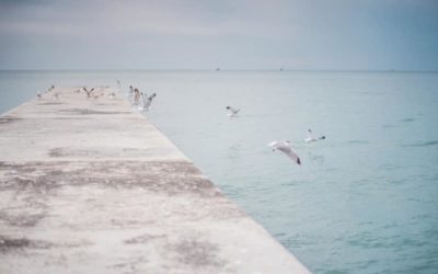 Méthodologie de l&rsquo;histoire de la philosophie moderne, explication de texte Edmond Husserl, L&rsquo;idée de la phénoménologie Deuxième leçon, pages 54 et 55, note obtenue 18/20