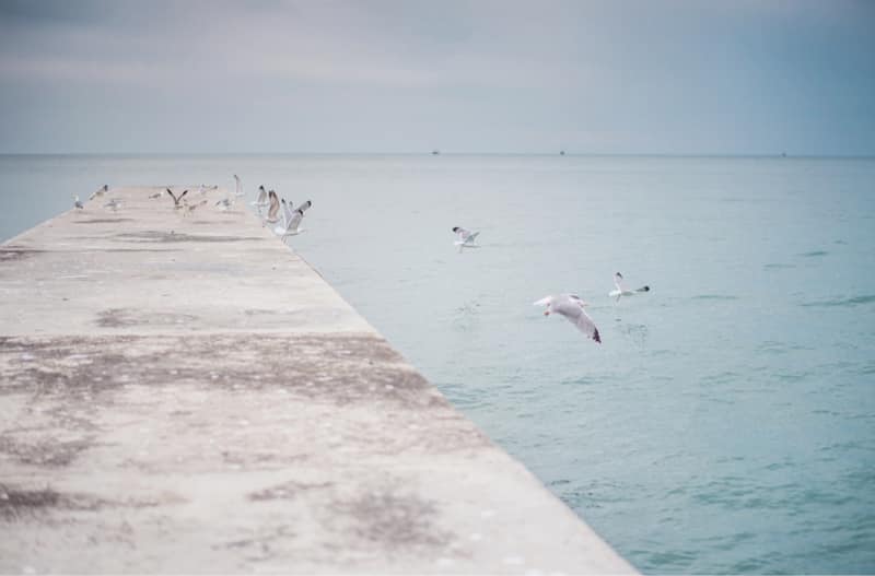 Méthodologie de l&rsquo;histoire de la philosophie moderne, explication de texte Edmond Husserl, L&rsquo;idée de la phénoménologie Deuxième leçon, pages 54 et 55, note obtenue 18/20